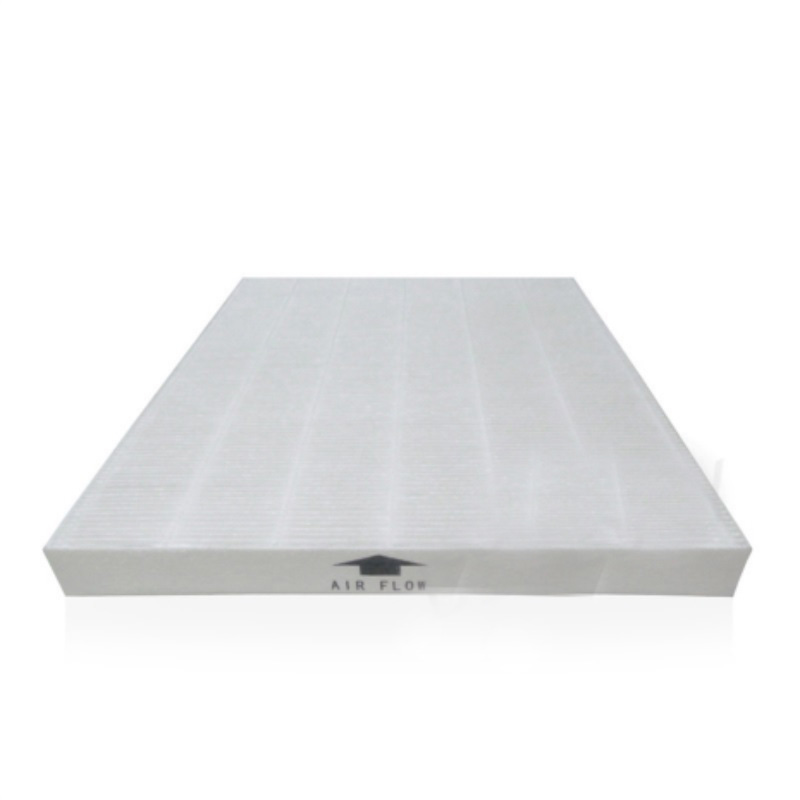 H13 Hepa Filter and 4 Carbon Filters